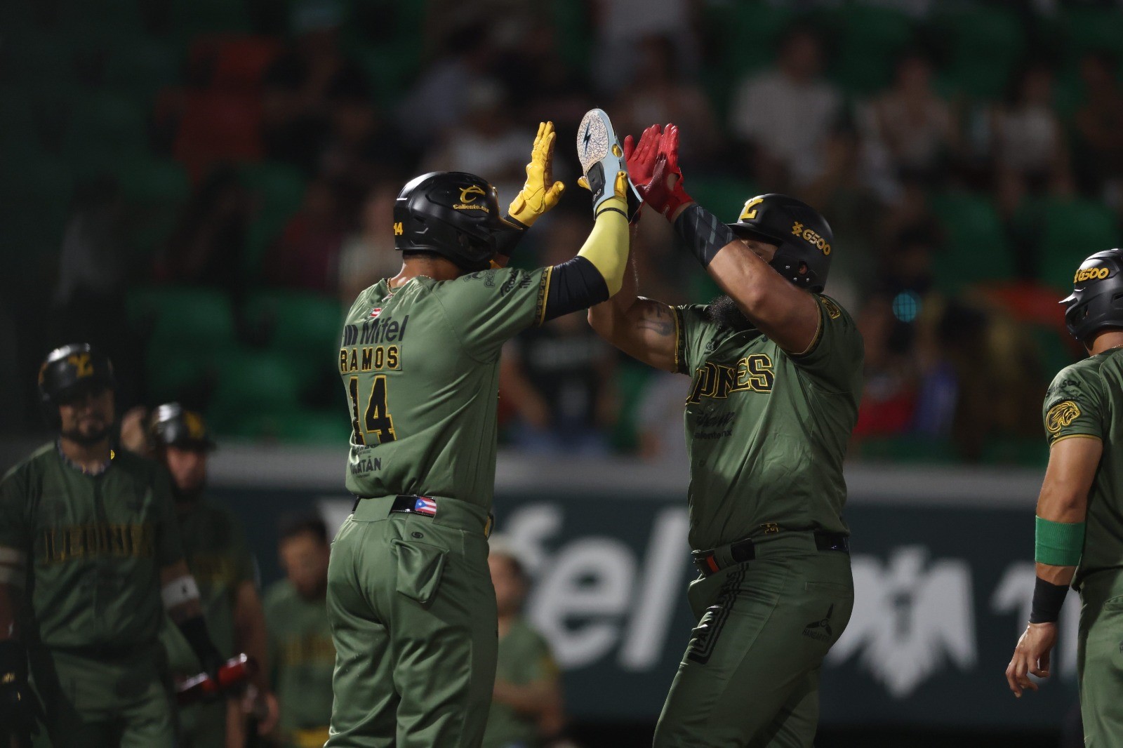 ¡Serie Asegurada! Leones de Yucatán vencen a Tigres en el Kukulcán