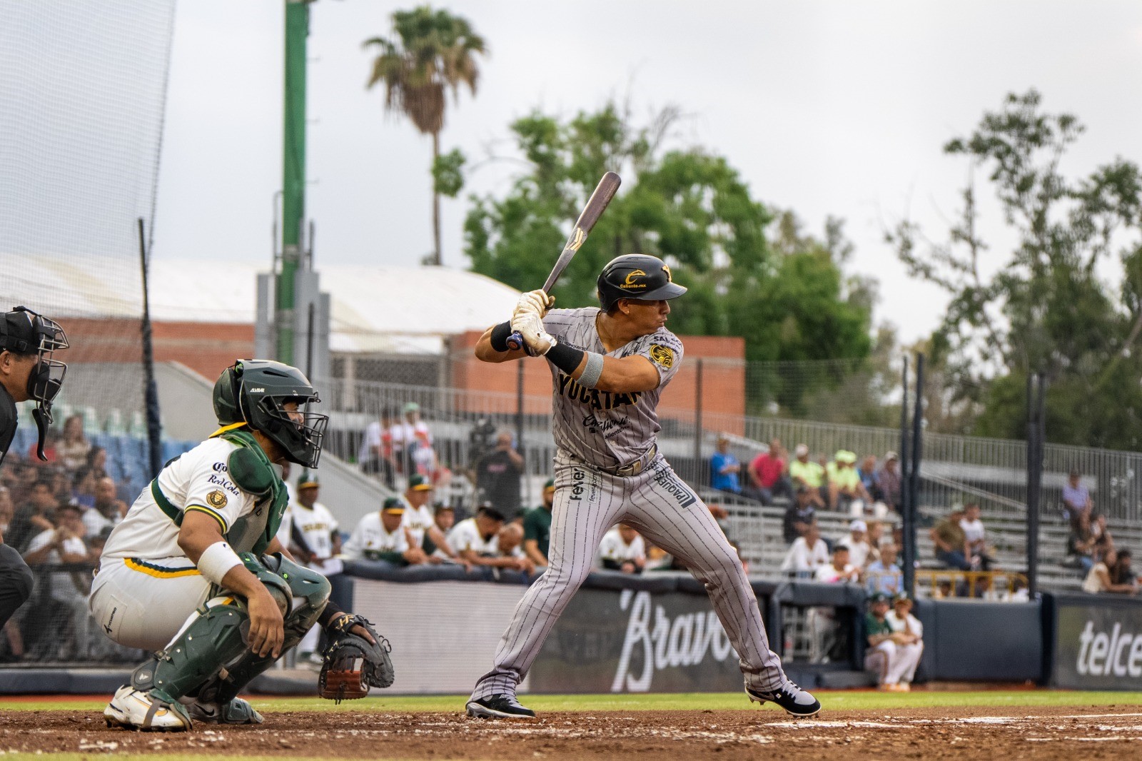 León barre: León se queda con la serie completa ante Yucatán