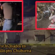 Presunto env3n3namiento masivo de perros en Chuburná causa indignación y alarma vecinal