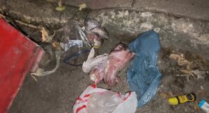 En el lugar, vecinos localizaron bolsas con alimento que será considerado como posible evidencia dentro de las indagatorias