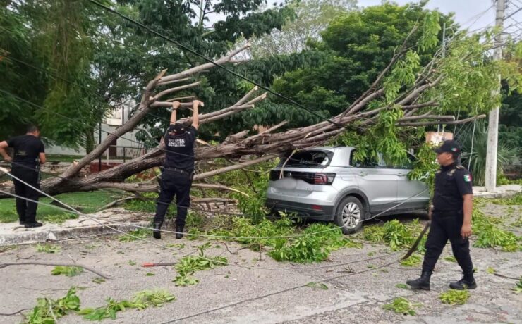 SSP atiende 246 reportes por lluvias: ¡Alerta!