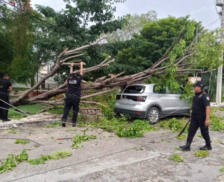 SSP atiende 246 reportes por lluvias: ¡Alerta!