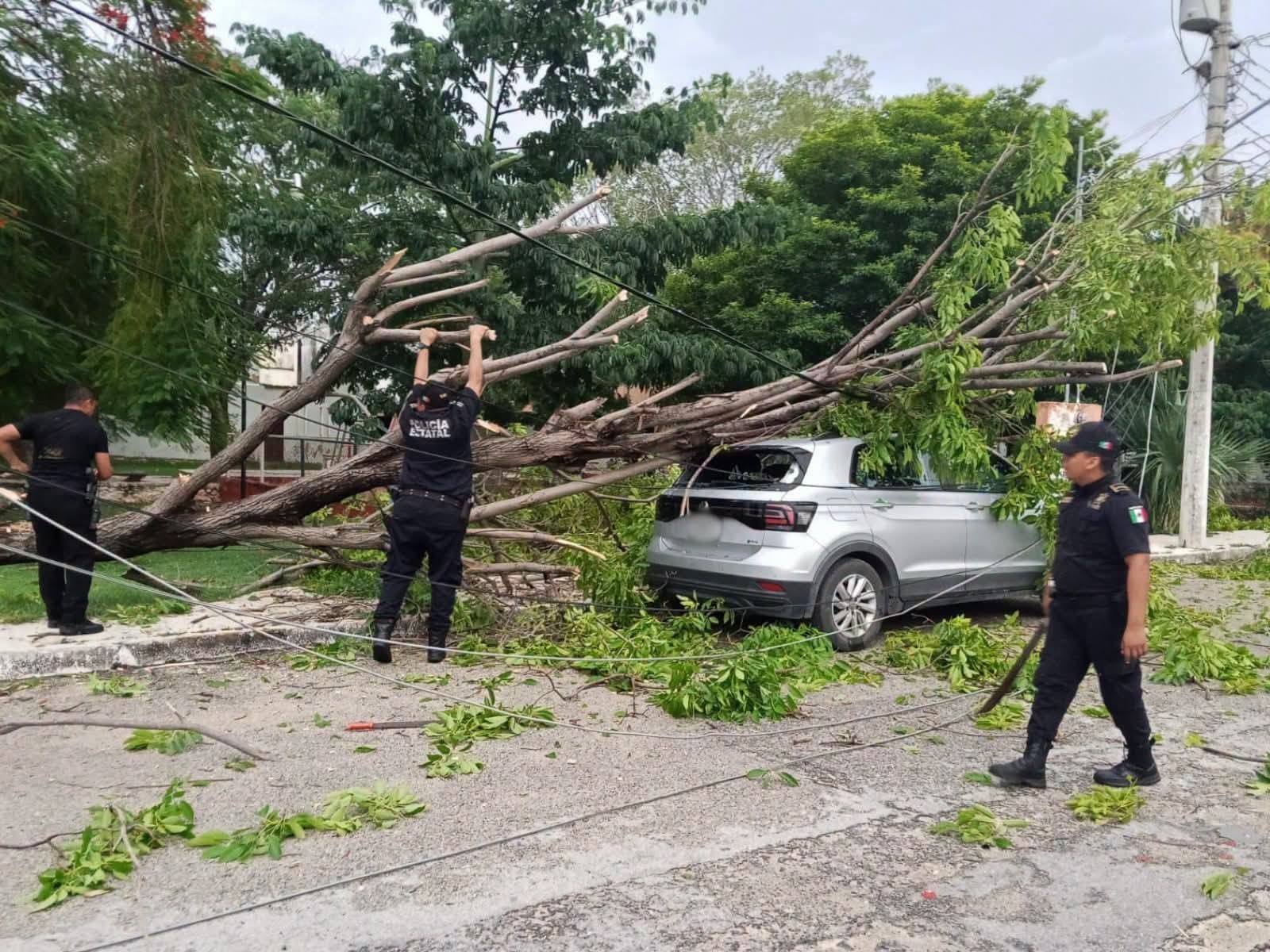 SSP atiende 246 reportes por lluvias: ¡Alerta!