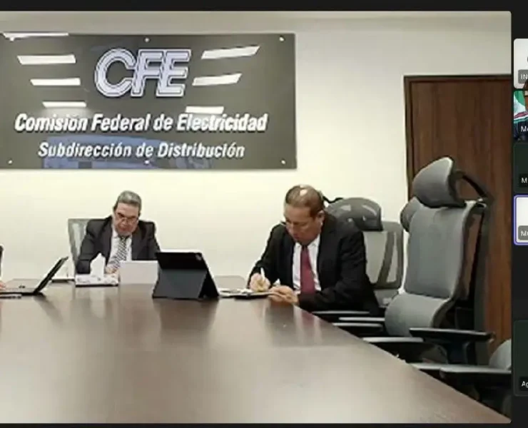 Servicio eléctrico confiable para las familias con trabajo coordinado