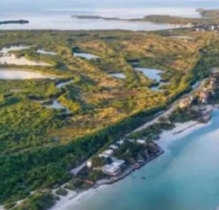 Verificar el cumplimiento del proyecto Las Dunas para proteger Chuburná