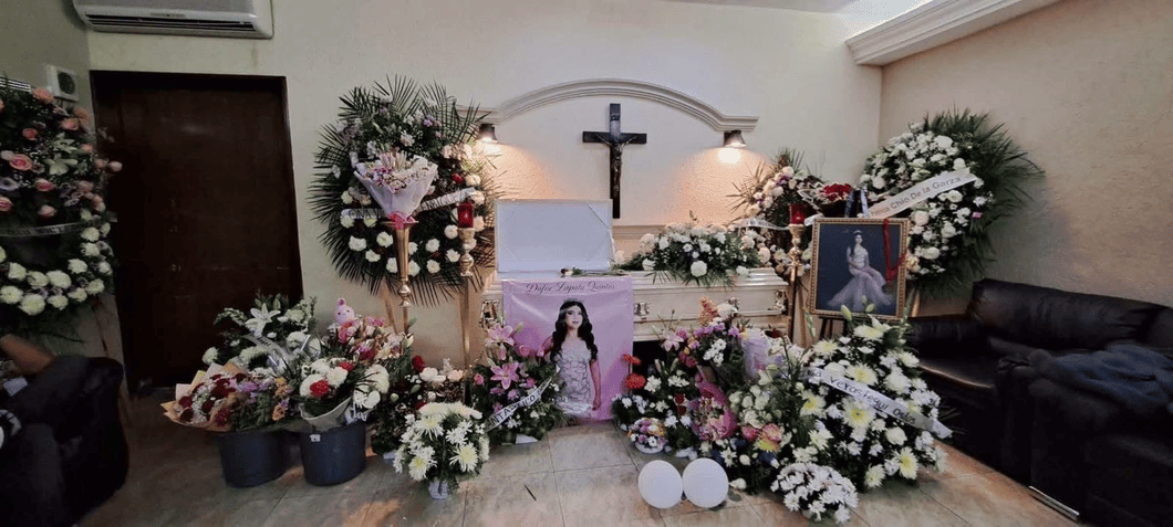 feminicidio en agravio de Dafne Zapata Quintos
