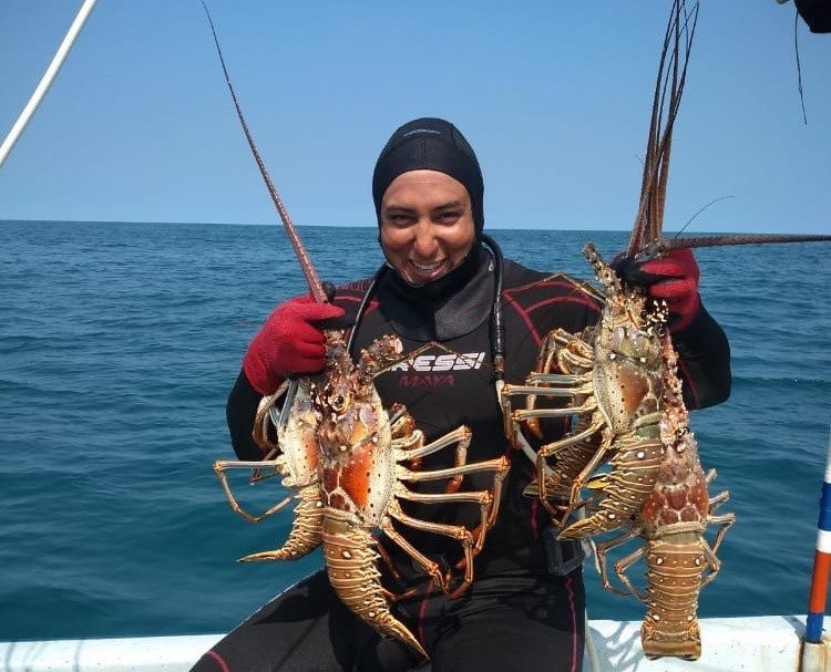 ¡Atención! Inicia temporada de captura de langosta en Yucatán