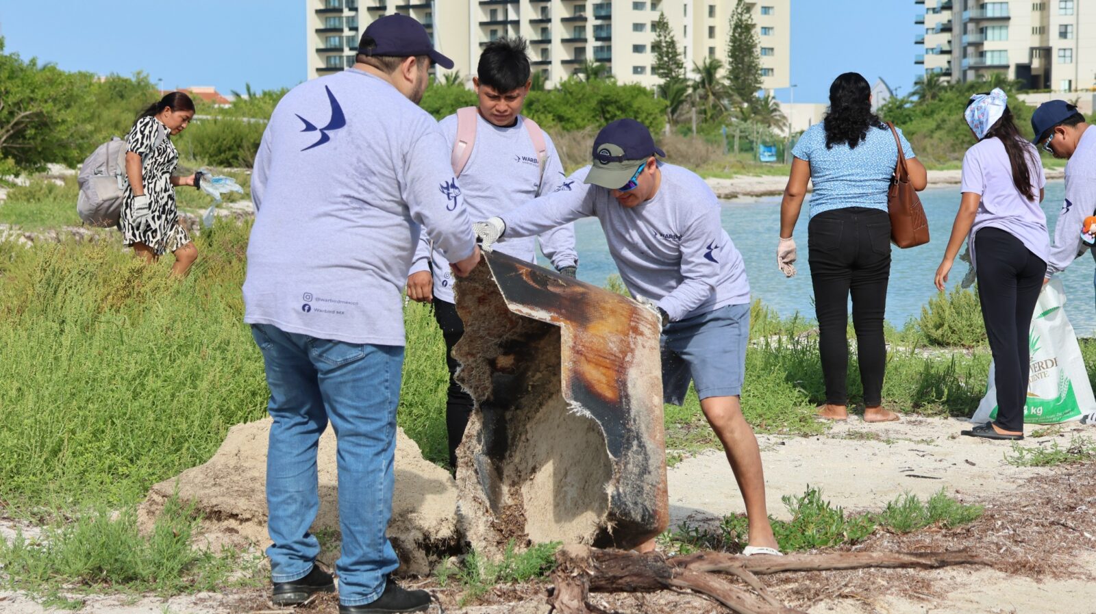 ¡Impactante! Comunidad y organizaciones transforman las playas de Progreso con gran limpieza