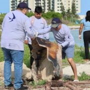 ¡Impactante! Comunidad y organizaciones transforman las playas de Progreso con gran limpieza