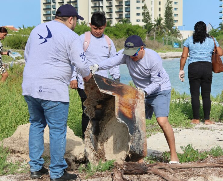¡Impactante! Comunidad y organizaciones transforman las playas de Progreso con gran limpieza