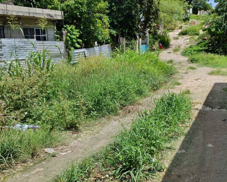 Vecinos piden pavimentación urgente en Campeche