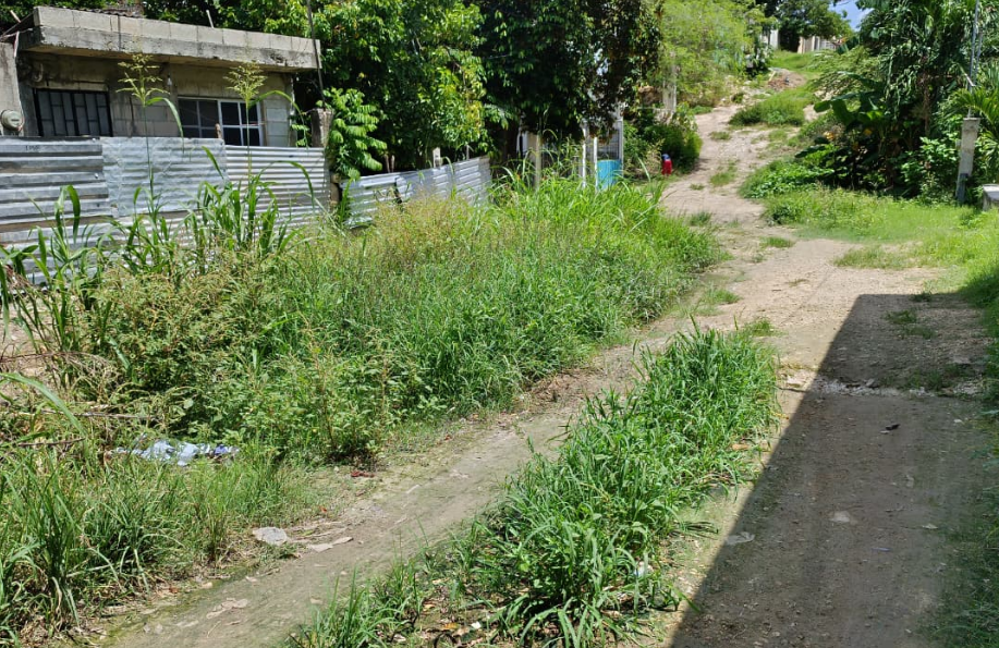 Vecinos piden pavimentación urgente en Campeche