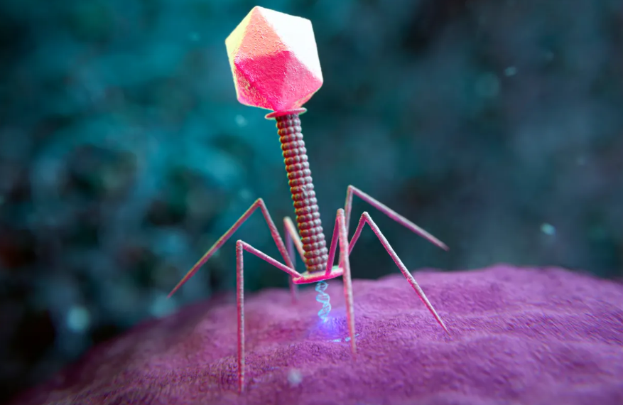 El gran desafío: la bioseguridad