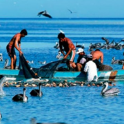 Pescadores consideran insuficiente el nuevo apoyo