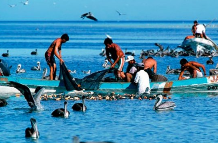 Pescadores consideran insuficiente el nuevo apoyo