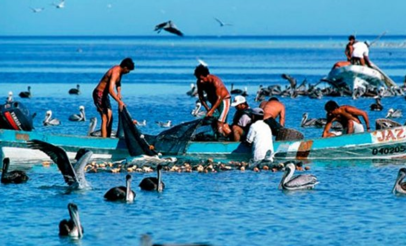 Pescadores consideran insuficiente el nuevo apoyo