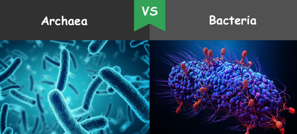 Una hipótesis que cambia la historia del origen de la vida
