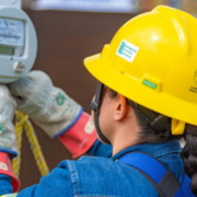 CFE impulsa energías renovables: El gran cambio