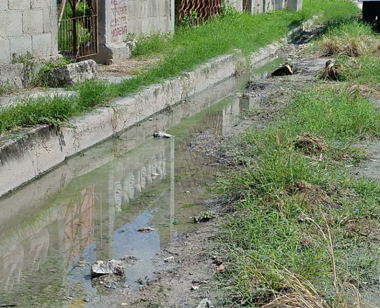 Calles se encuentran entre maleza: San Joaquín, Campeche