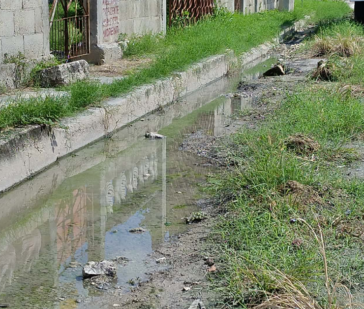 Calles se encuentran entre maleza: San Joaquín, Campeche