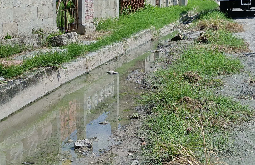Calles se encuentran entre maleza: San Joaquín, Campeche