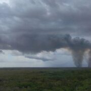¡Arde el manglar de Kobén y alarma a Campeche!