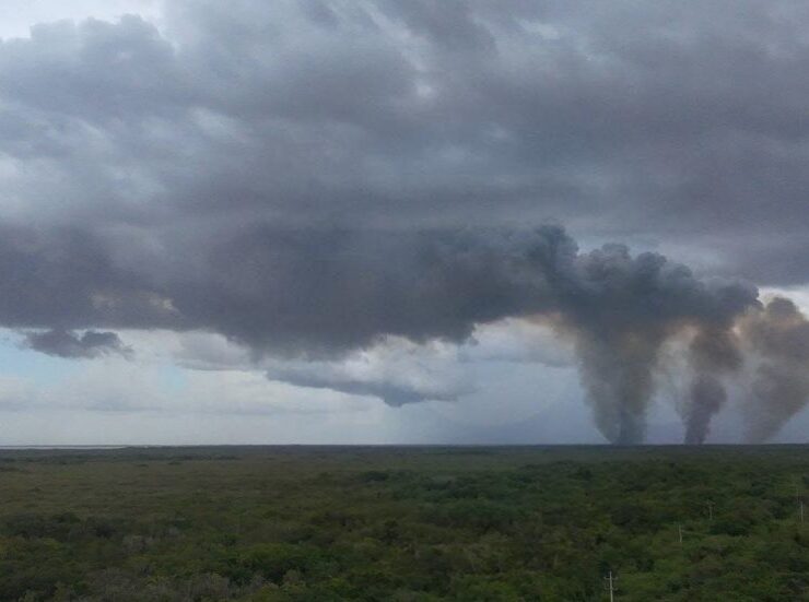 ¡Arde el manglar de Kobén y alarma a Campeche!