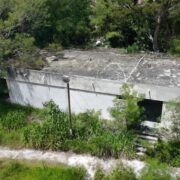 Centro de Bienestar Animal Municipal olvidado: ¿Qué ocurre?