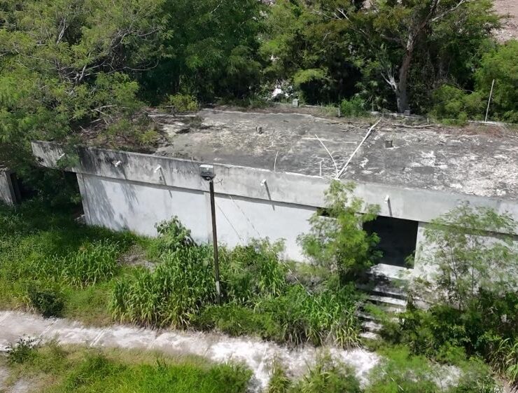 Centro de Bienestar Animal Municipal olvidado: ¿Qué ocurre?