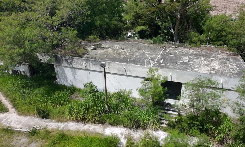 Centro de Bienestar Animal Municipal olvidado: ¿Qué ocurre?