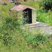 Tumbas entre agua y maleza: abandono en Campeche