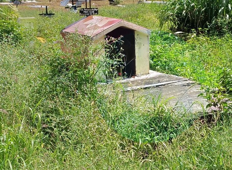Tumbas entre agua y maleza: abandono en Campeche