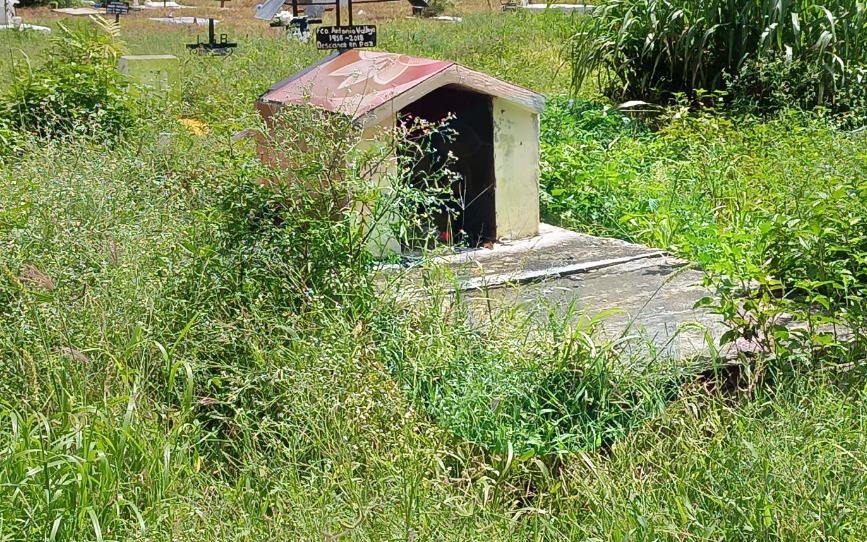 Tumbas entre agua y maleza: abandono en Campeche