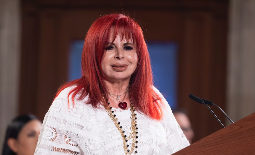 ¿Por qué causa polémica?