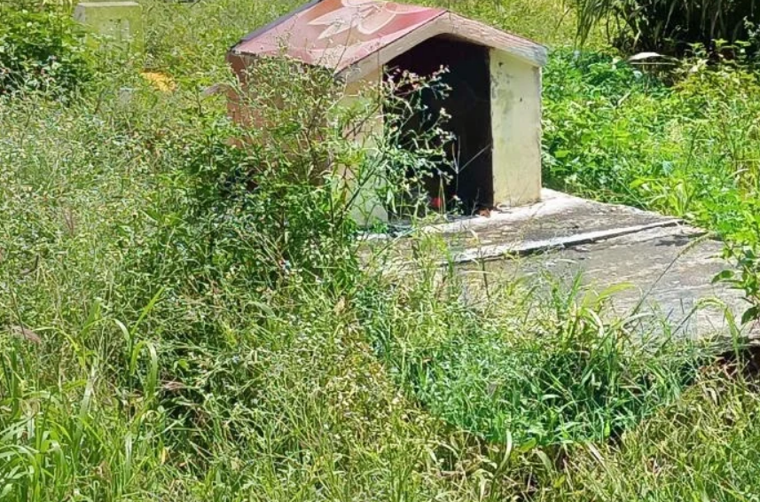 En Campeche hay tumbas entre agua y maleza