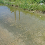Un “río” de aguas negras afecta a vecinos de Campeche
