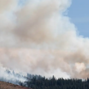 Más de 40.000 evacuados por incendio forestal en EEUU