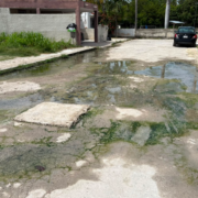 ¡Desbordan aguas negras en Villas Dalias!