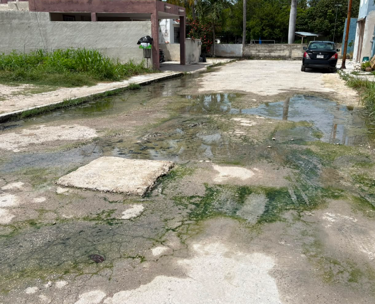 ¡Desbordan aguas negras en Villas Dalias!
