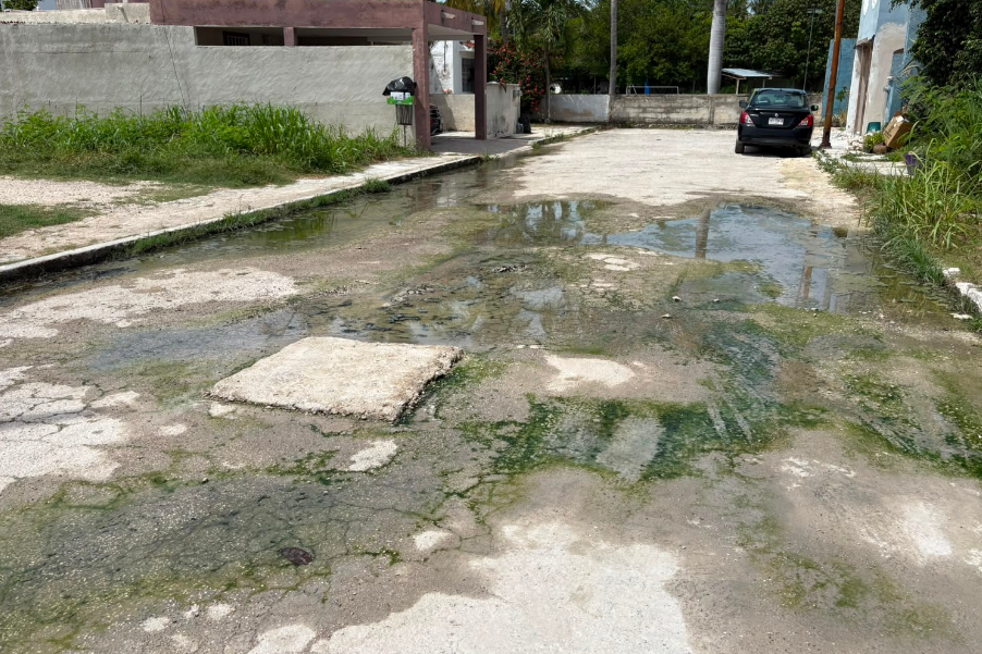 ¡Desbordan aguas negras en Villas Dalias!