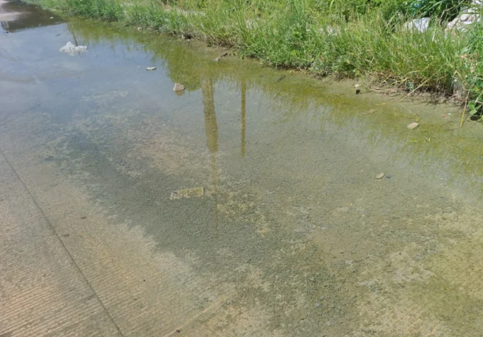 Desbordan aguas negras en Villas Dalias y vecinos piden solución