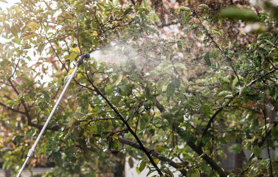 Traslado de urgencia y riesgos agrícolas locales