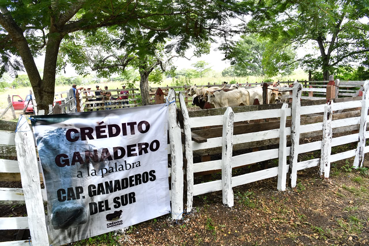 Centros de acopio y mercados justos