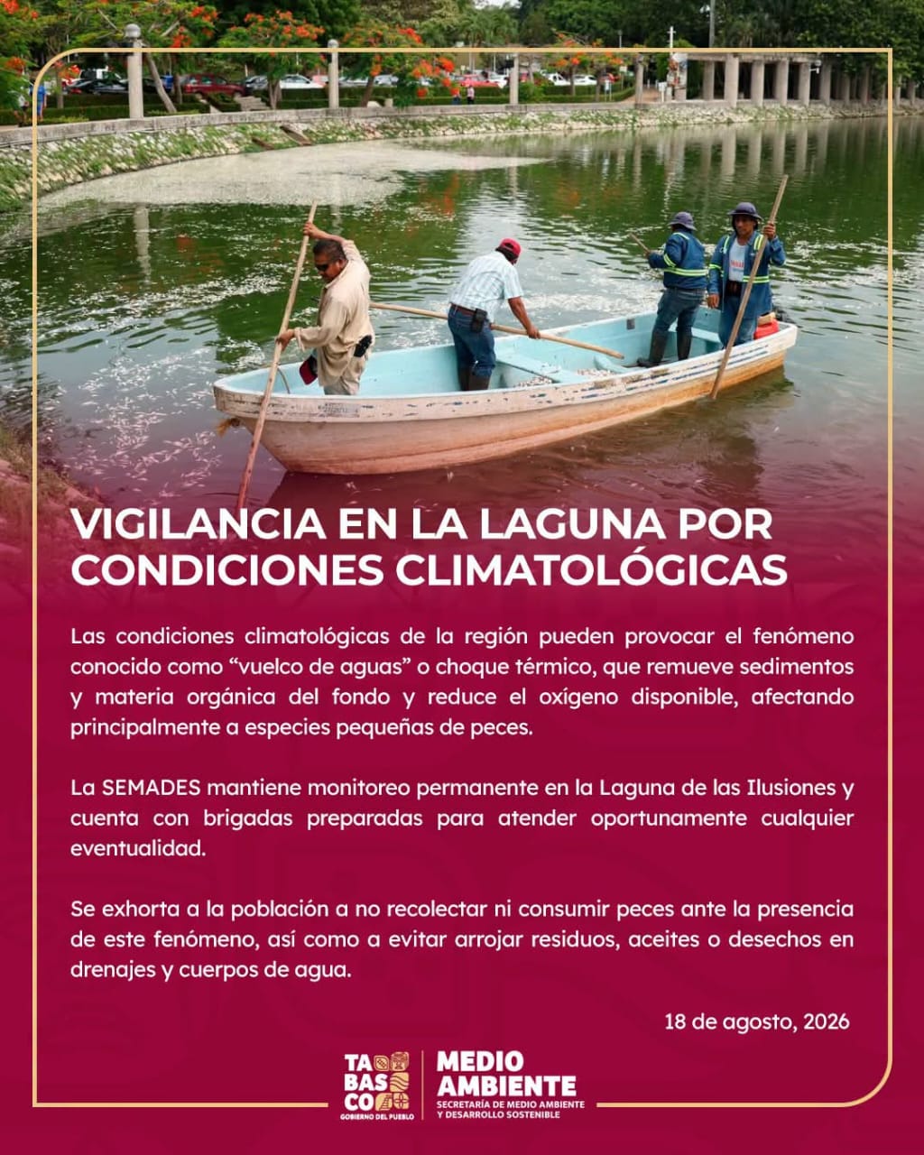 Disminución de oxígeno afecta a los peces