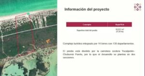 El Gobierno de Yucatán aseguró que la conservación del patrimonio natural está por encima de cualquier proyecto particular, ante la revisión del Caso Dunas de Chuburná y las medidas para proteger especies y ecosistemas costeros.