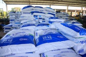 El apoyo fortalece la producción de tilapia, impulsa la economía local y consolida la seguridad alimentaria