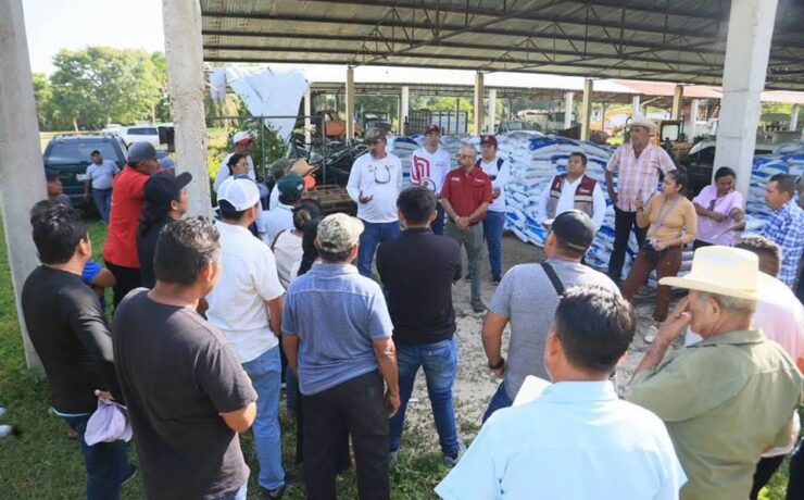 Entrega Gobierno de Quintana Roo 32.2 toneladas de alimento para tilapia fortalece la acuicultura en Quintana Roo