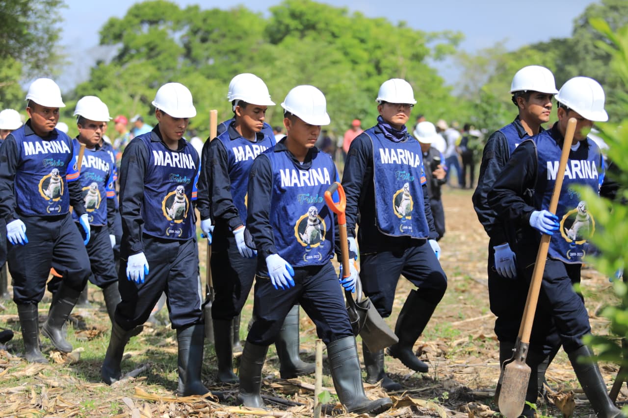Tecnología para acelerar la recuperación forestal