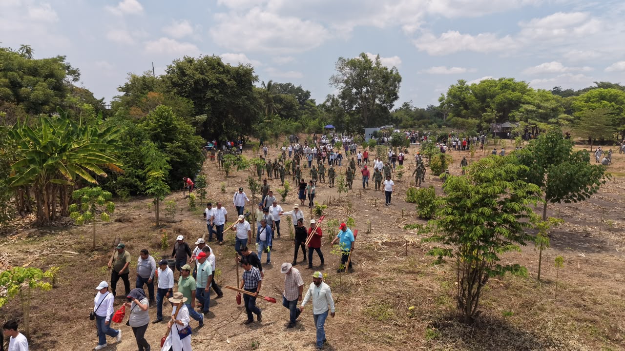 Jornada Nacional de Reforestación 2026