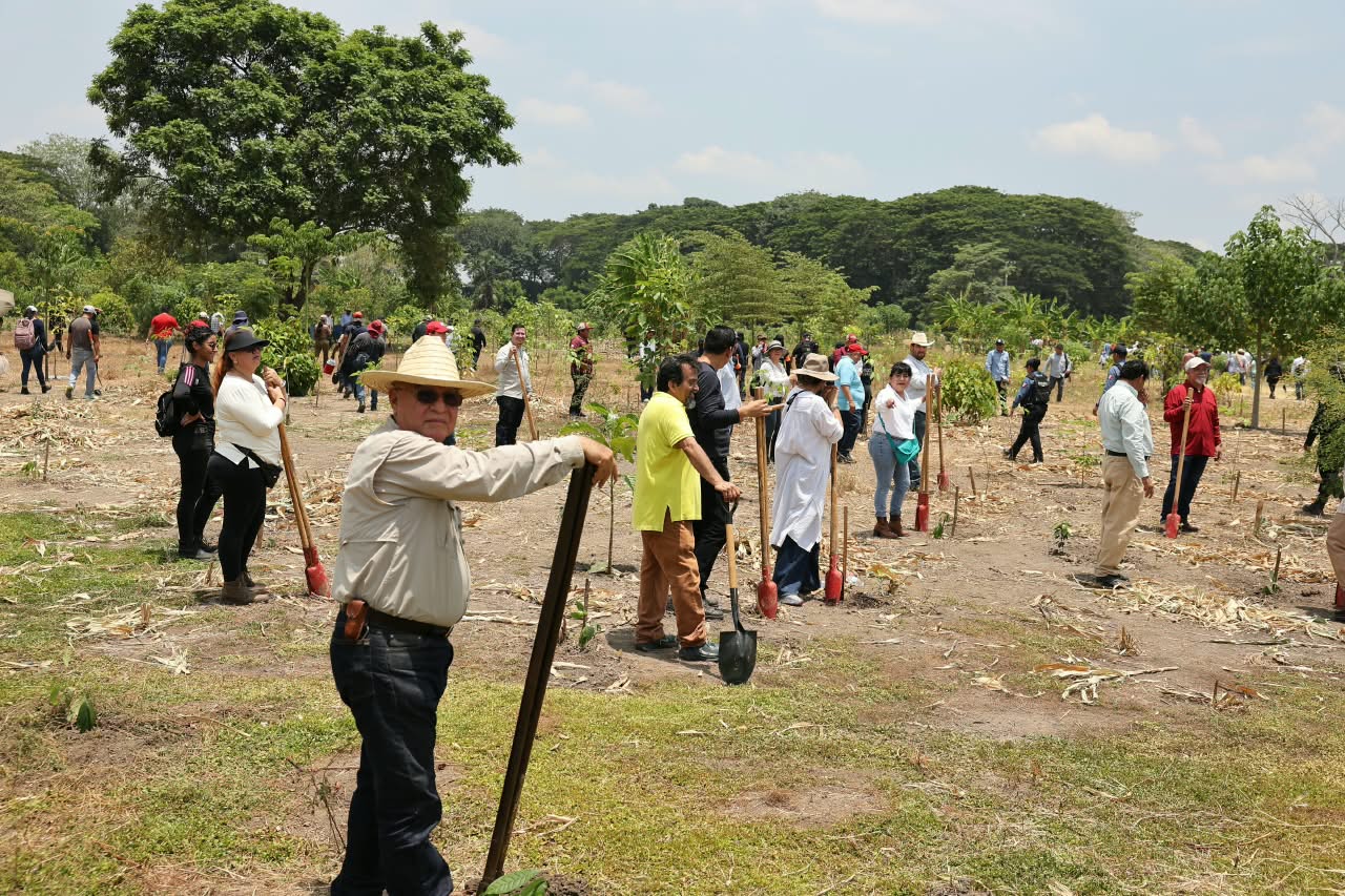 Jornada Nacional de Reforestación